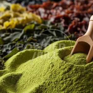 如何將海藻磨成粉末？